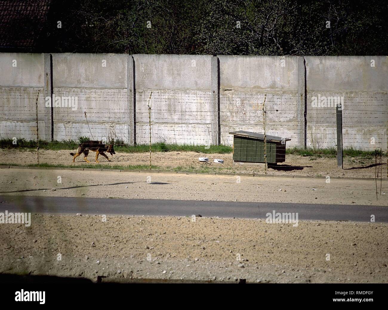 Schäferhund der DDR-Grenztruppen an der Grenze in der Nähe von Staaken im Westen von Berlin-West. Stockfoto