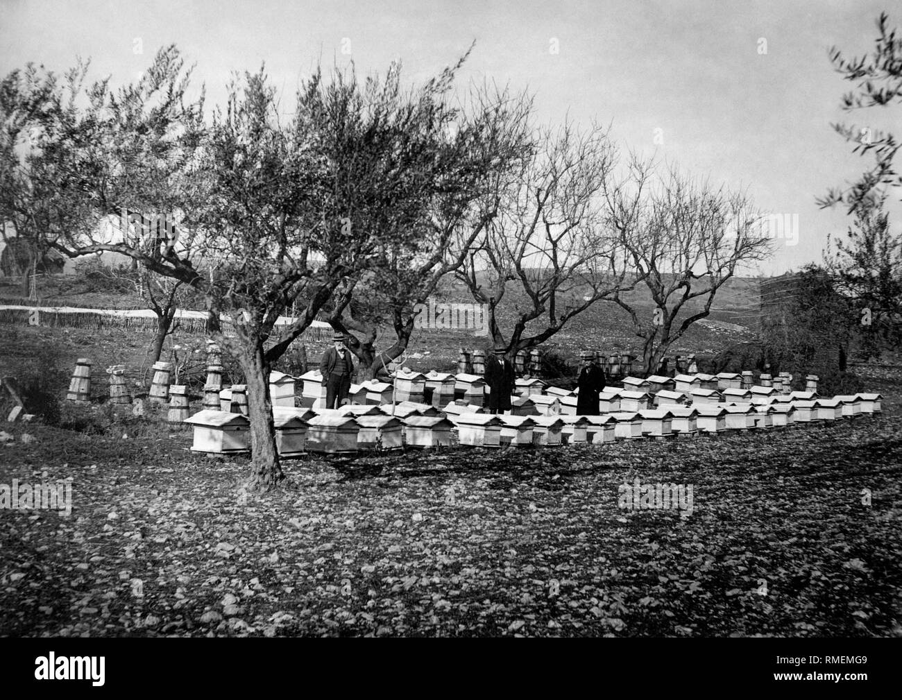 Bienenstöcke in der Provinz Pescara, 1930 Stockfoto