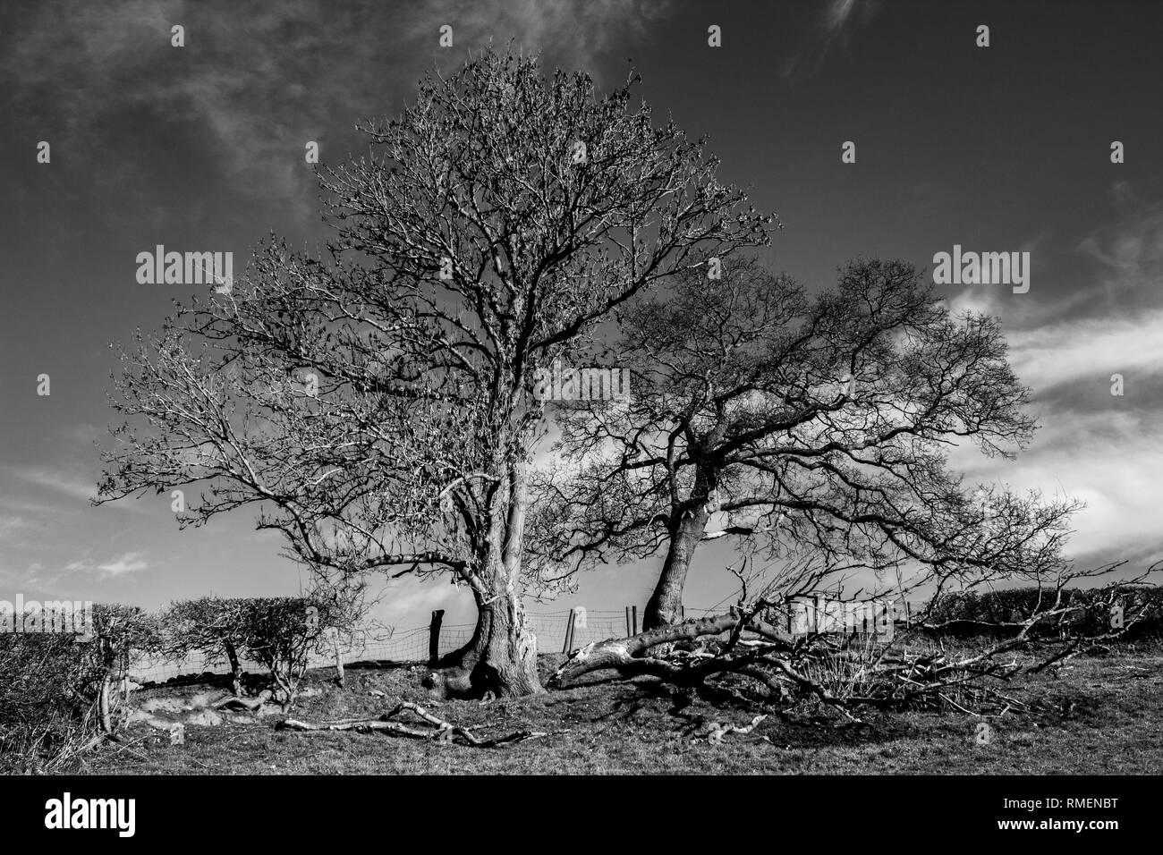 Hereford Landschaft Stockfoto