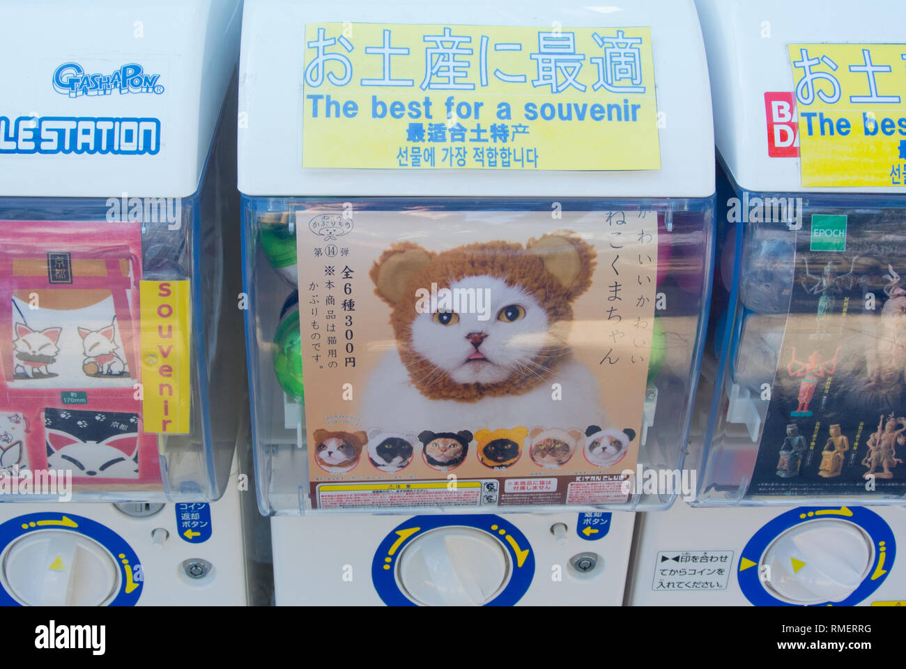 Das beste für ein Souvenir, Katze hat, Japan Stockfoto