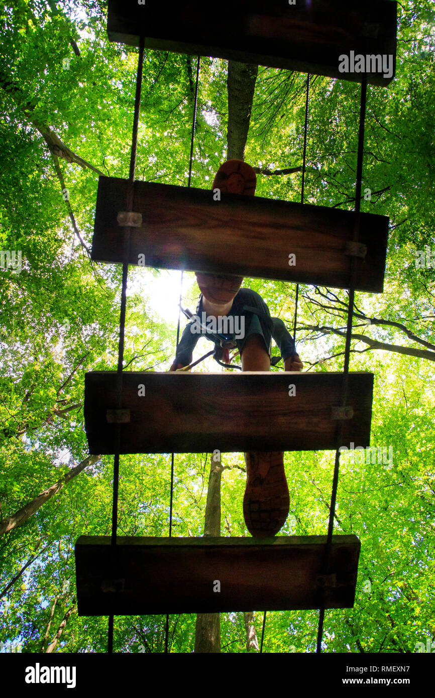 Hochseilgarten in einem Wald. Treetop adventure Kurs gesehen aus dem Boden: Jemand zu Fuß auf einem Steg, umgeben von Bäumen Stockfoto