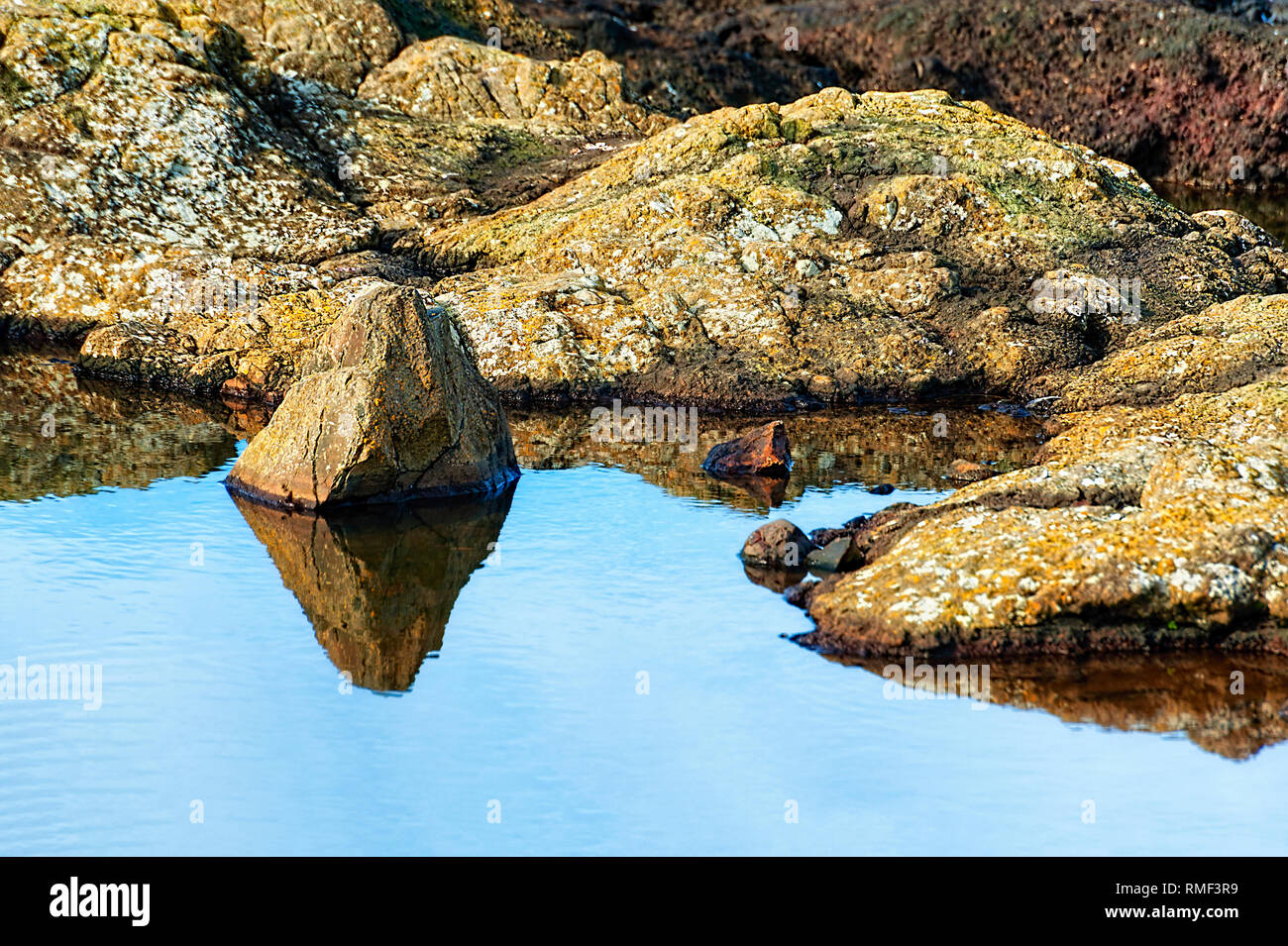 In der Nähe von reflektierenden Felsen in einem gezeitentümpel am Strand in Yachats, Oregon Stockfoto