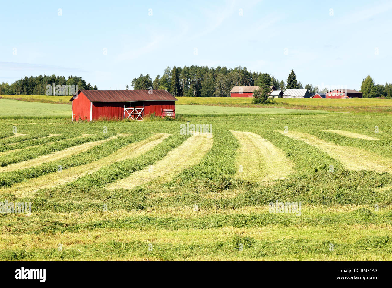 Landwirtschaftlichen Stockfoto