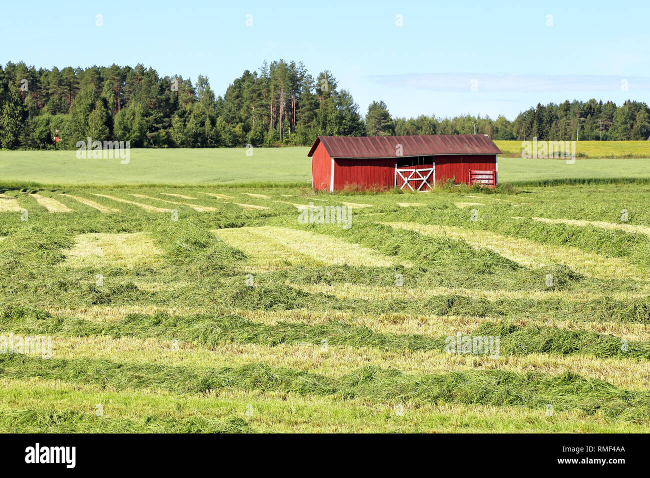 Landwirtschaftlichen Stockfoto