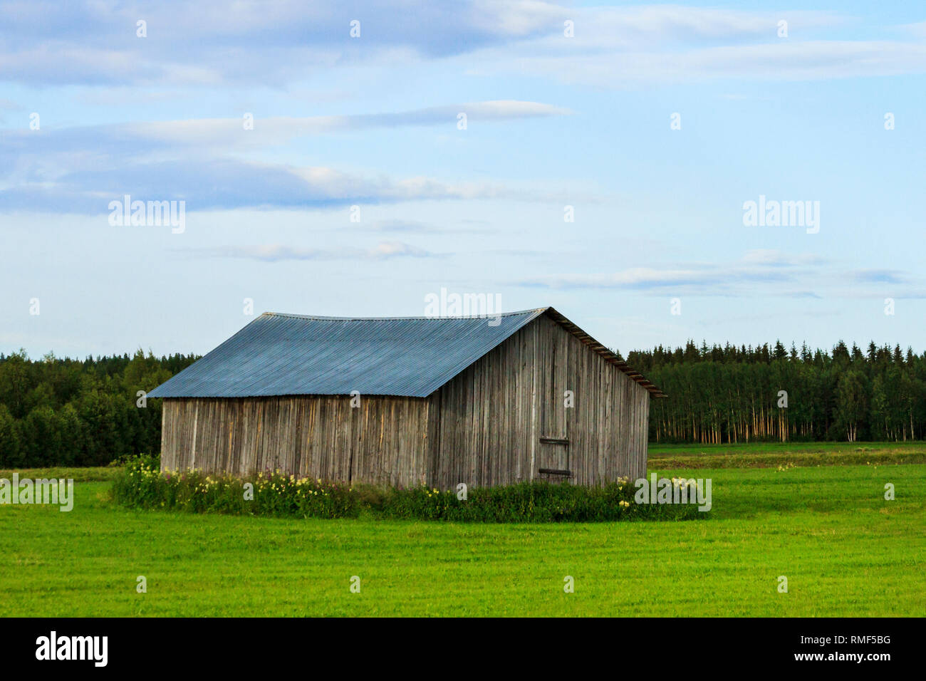 Scheune für Getreide im Feld Stockfoto