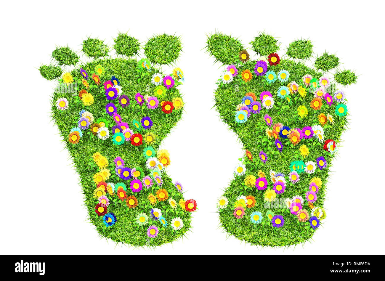 Foot Print aus grünem Gras und Blumen isoliert Stockfoto