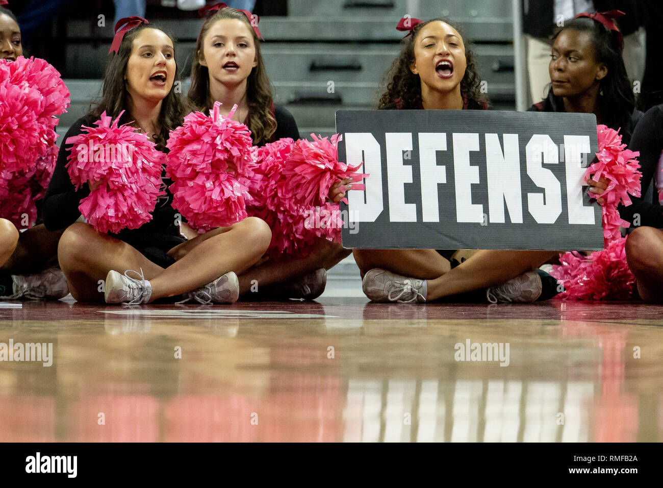 Columbia, SC, USA. 14 Feb, 2019. Südcarolina Kampfhähne Cheerleadern auf ihre Verteidigung in der sek Basketball matchup im Colonial Life Arena in Columbia, SC anspornen. (Scott Kinser/Cal Sport Media) Credit: Csm/Alamy leben Nachrichten Stockfoto