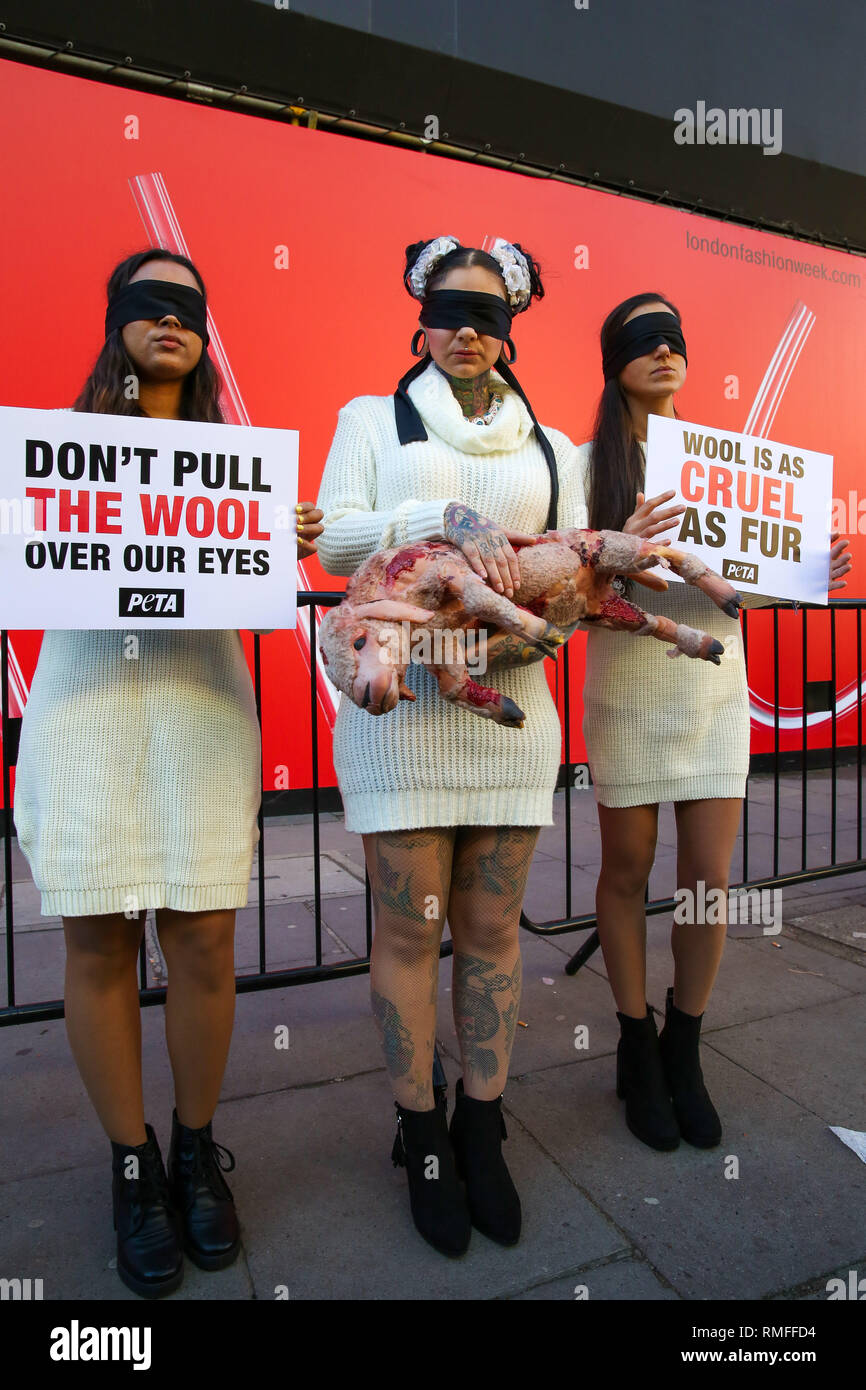 London, Großbritannien. 15 Feb, 2019. Drei Augen PeTA (Menschen für die ethische Behandlung von Tieren) Aktivisten gesehen Tragen vegane wolle Pullover und eine ''blutige geschorenem Lamm'' mit Plakaten auf der London Fashion Week außerhalb des Store Studios, 180 The Strand, London protestiert. Credit: Dinendra Haria/SOPA Images/ZUMA Draht/Alamy leben Nachrichten Stockfoto