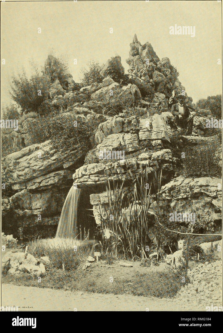 . Annuaire du Conservatoire et du Jardin botaniques de Genève. Botanik. PI. Vi. ANN. DU CONSERV. ET DU MER. BOT. DE GENÈVE. VOL. Ix. LE NOUVEAU JARDIN BOTANIQUE DE GENEVE; LE POINT CULMINANT DU GROUPE DES ALPES SUISSES ET LA CASCADE. Bitte beachten Sie, dass diese Bilder sind von der gescannten Seite Bilder, die digital für die Lesbarkeit verbessert haben mögen - Färbung und Aussehen dieser Abbildungen können nicht perfekt dem Original ähneln. extrahiert. Conservatoire et Jardin botaniques de la Ville de Genève. Genève, Conservatoire Botanique Stockfoto