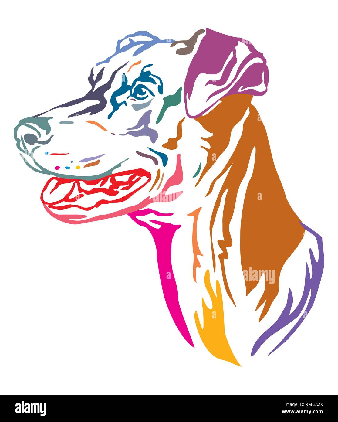 Bunt dekorativ Umrisse Portrait von Dog Deutsche Pinscher suchen im Profil, Vector Illustration in verschiedenen Farben auf weißem Hintergrund. Stock Vektor