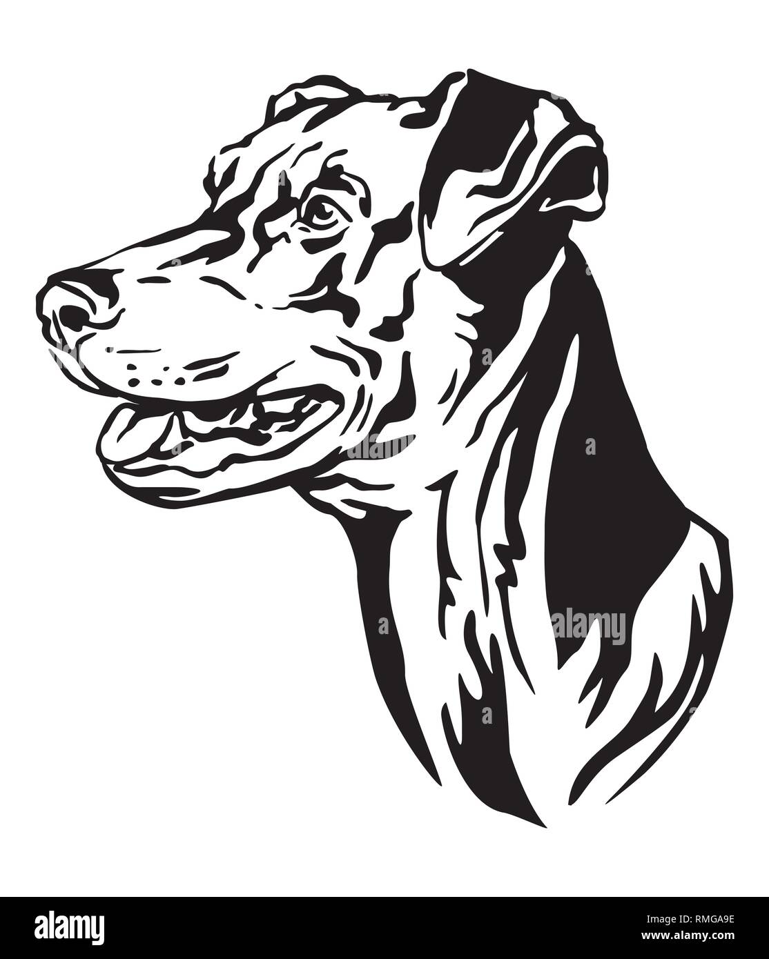 Dekorative Umrisse Portrait von Dog Deutsche Pinscher suchen im Profil, Vector Illustration in schwarzer Farbe auf weißem Hintergrund. Bild für desi Stock Vektor