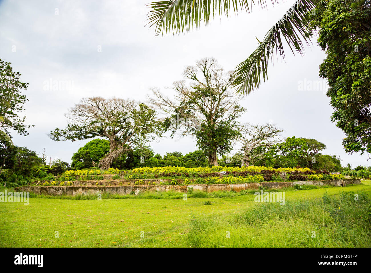 Eine uralte Zikkurat Langi - Königliche Begräbnis Grab - in der Nähe von Lapaha, Mu'a, östlich der Insel Tongatapu, Tonga, Polynesien, Ozeanien. Stein Gewölbe, Plattform von ea Stockfoto