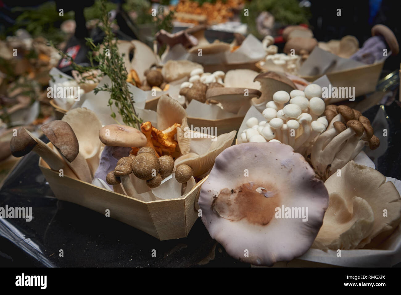 Verschiedene Arten von braunen und weissen Pilzen auf Verkauf zu einem Gemüse in einem lokalen Landwirt Marktstand. Querformat. Stockfoto