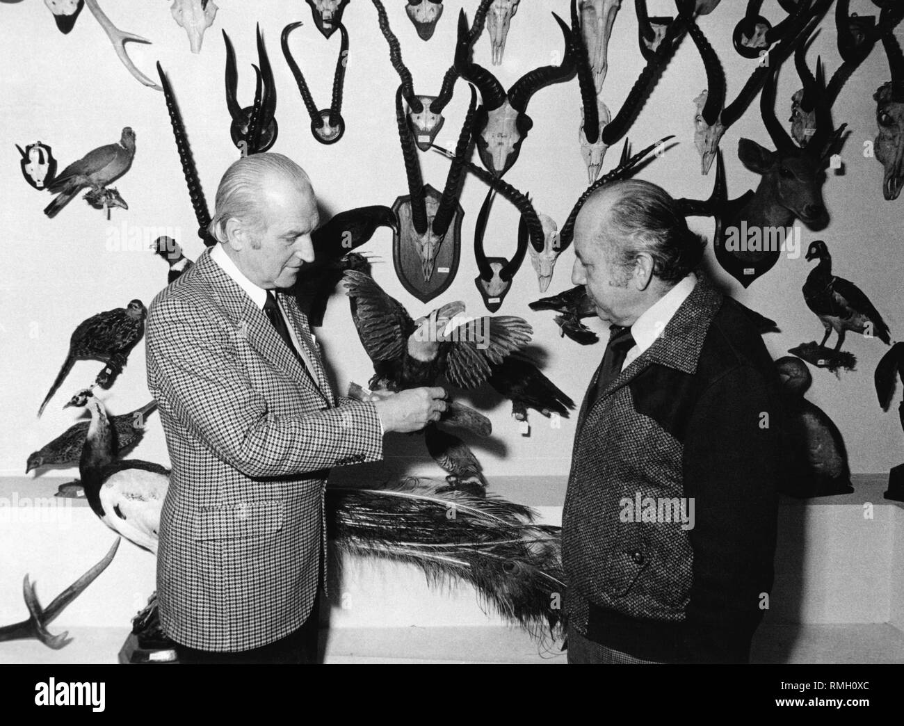 Der Direktor des Deutschen Jagd- und Fischereimuseum Horst Popp (links) Während der Verkauf von Teilen der Sammlung an Privatpersonen. Hier zeigt er eine Südamerikanische Guianan toucanet zu einem potenziellen Käufer. Stockfoto