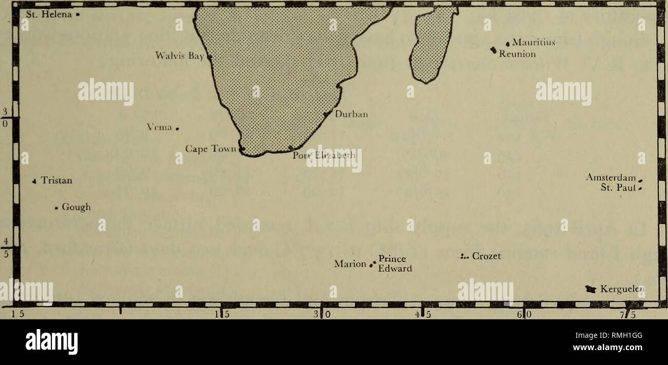 . Annalen der South African Museum. Annale van sterben Suid-Afrikaanse Museum. Die Fische von Tristan, GOUGH UND DER VEMA SEAMOUNT 541 in der Zwischenzeit. Es wäre überraschend, wenn die Tristan und St. Paul Insel Aale speziell unterschiedlich sind. Sphaeroides Lagocephalidae cutaneus (Gunther) Tetrodon cutaneus Gunther, 1870: 287. Barnard, 1927: 971. Sphaeroides dubius von Bonde, 1923: 40. Sphaeroides cutaneus (Gunther) Smith, 1949: 417. Dieses große Arten von kugelfisch ist in den warmen und gemäßigten und tropischen Meeren gefunden. Es ist von der Kap und die St. Helena Insel bekannt. Drei Muster Stockfoto