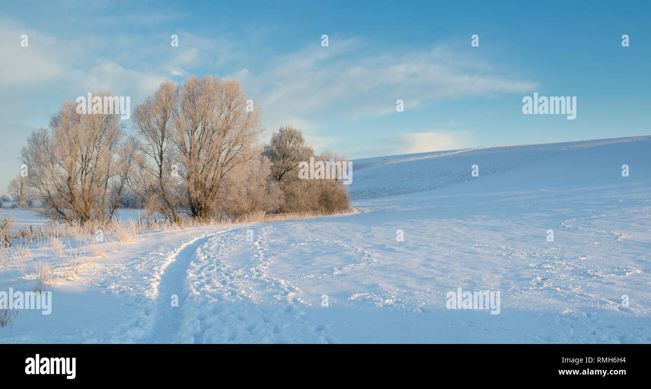 Verschneite Winterlandschaft und Frost bedeckt Hecke in Avebury, Wiltshire, England. Panoramablick Stockfoto