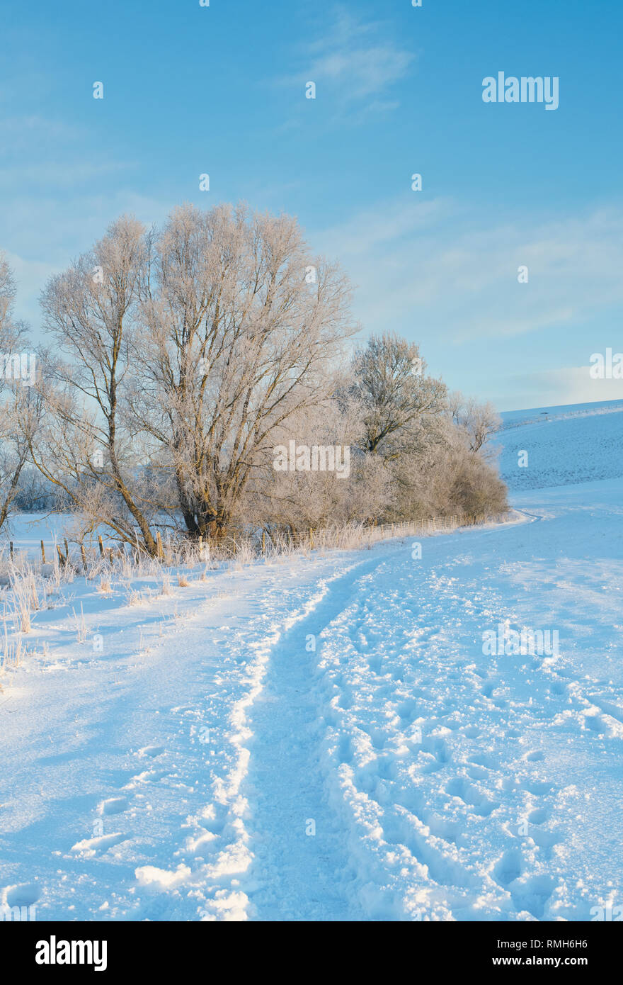 Verschneite Winterlandschaft und Frost bedeckt Hecke in Avebury, Wiltshire, England Stockfoto