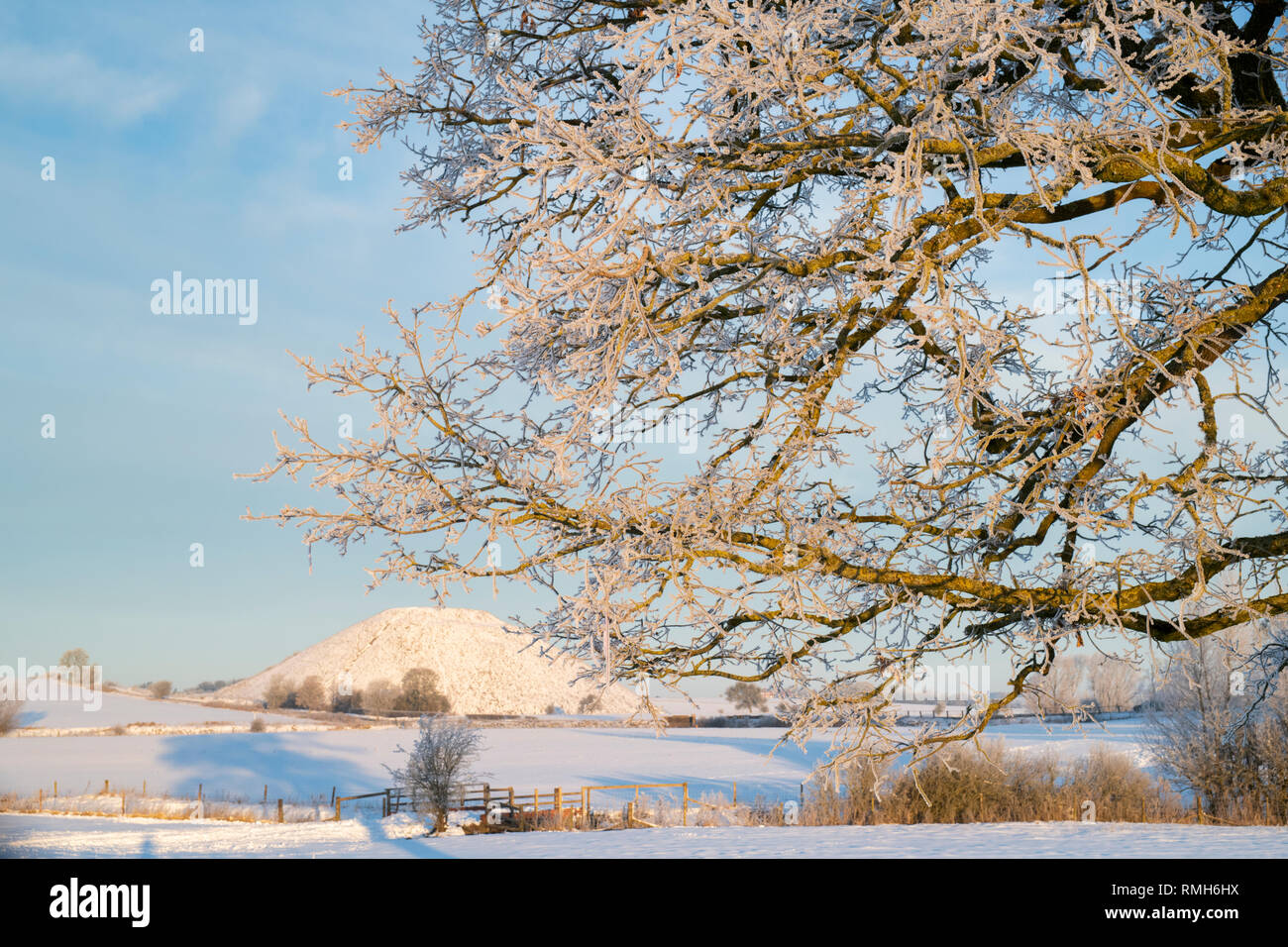 Frosted Eiche vor Silbury Hill im Winter Schnee bei Sonnenaufgang. Avebury, Wiltshire, England Stockfoto