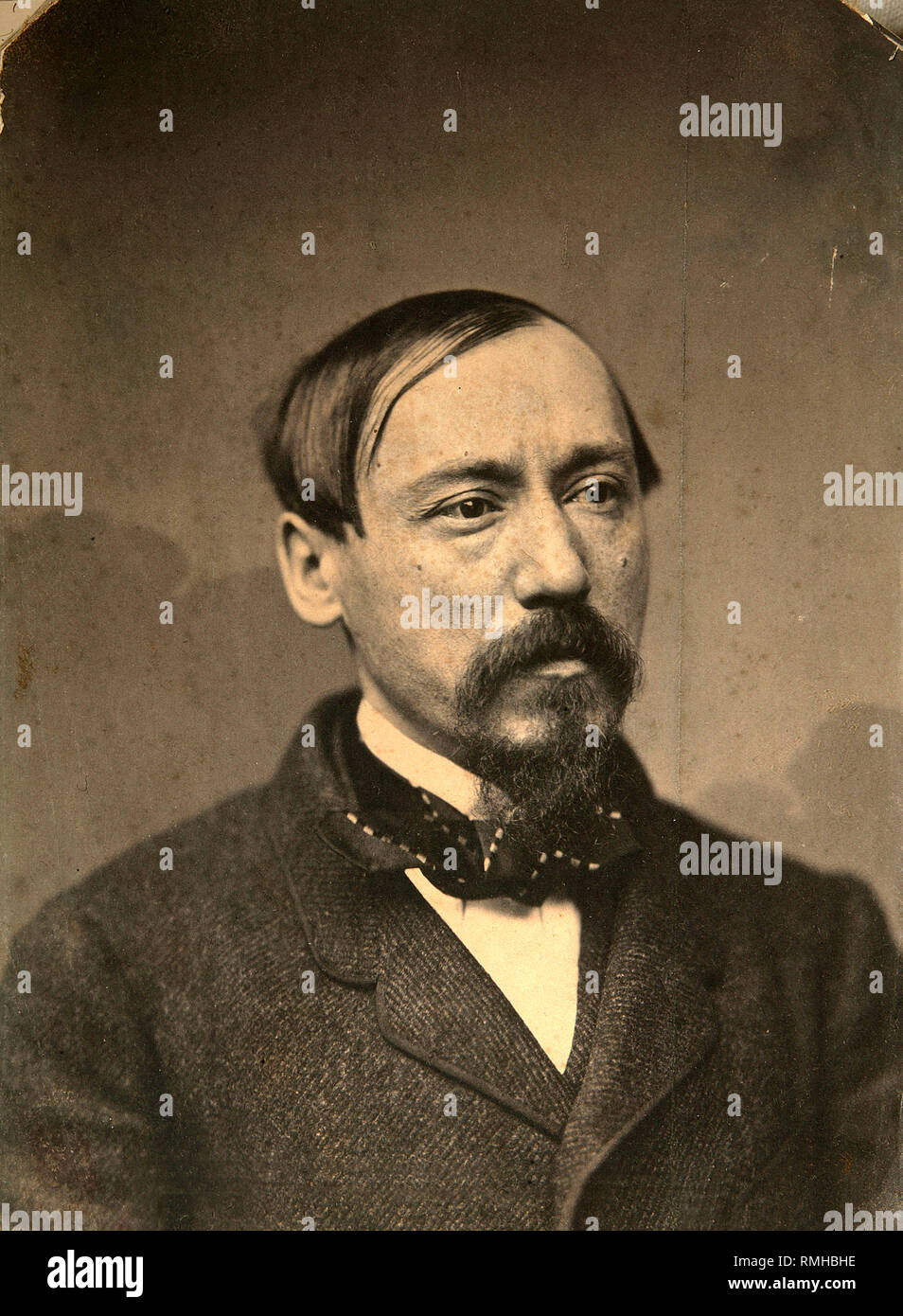 Porträt des Dichters Nikolai Nekrassow (1821-1877). Albumin Photo Stockfoto