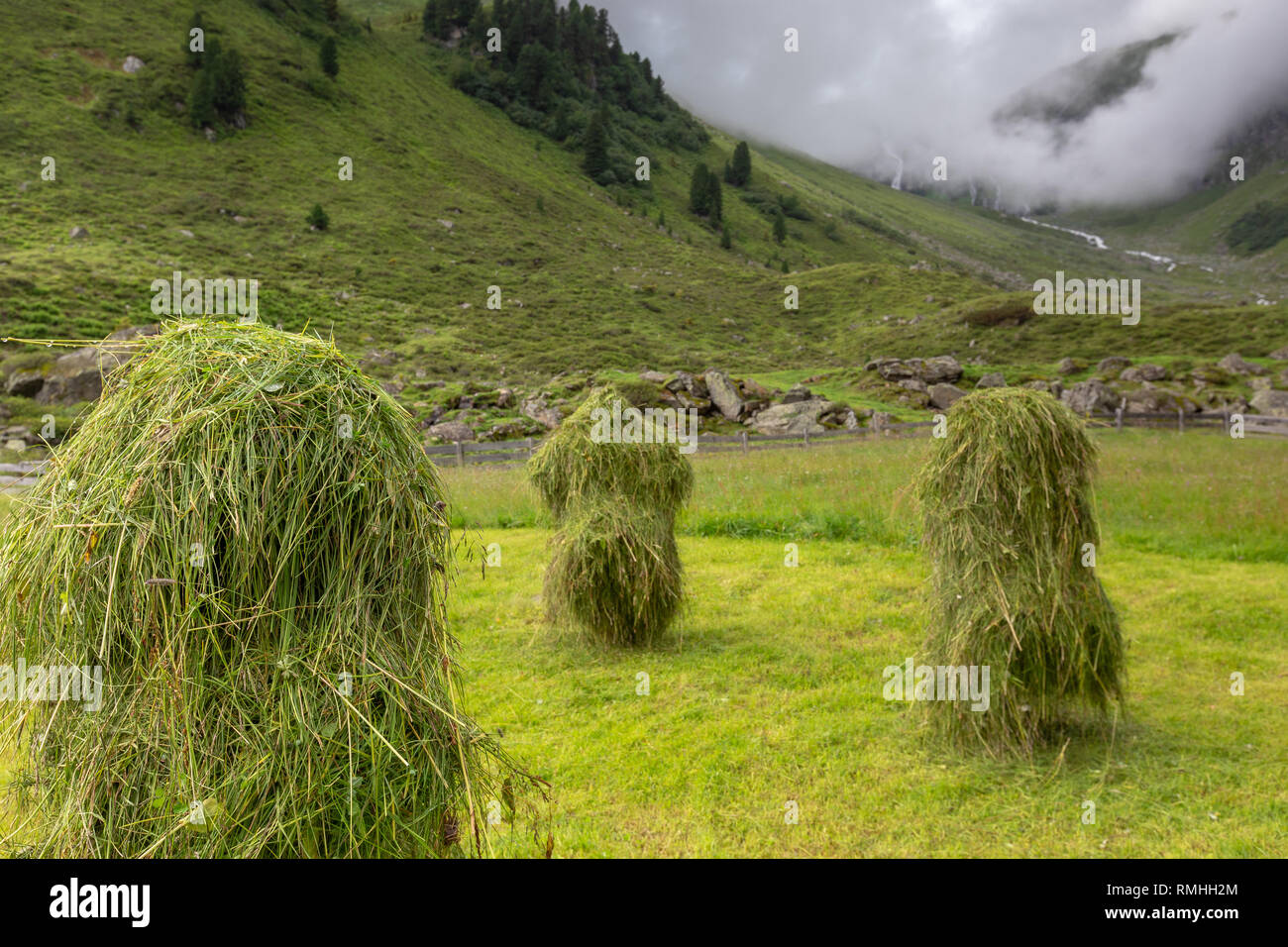 Heuscheiben. Garbe Gras. Stubaier Alpen. Österreich. Europa. Stockfoto
