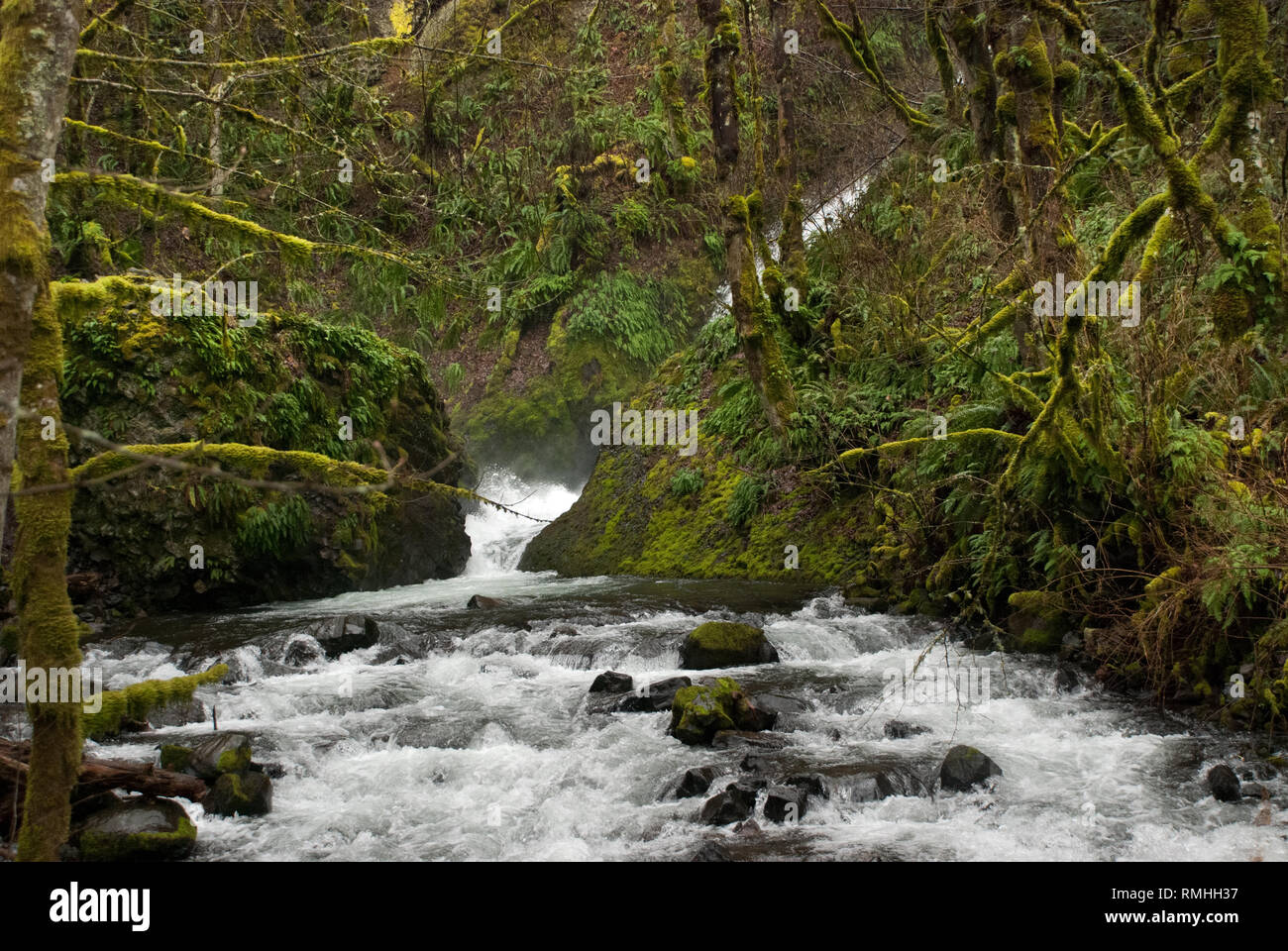 Wasserfall in Kolumbien River Gorge Stockfoto