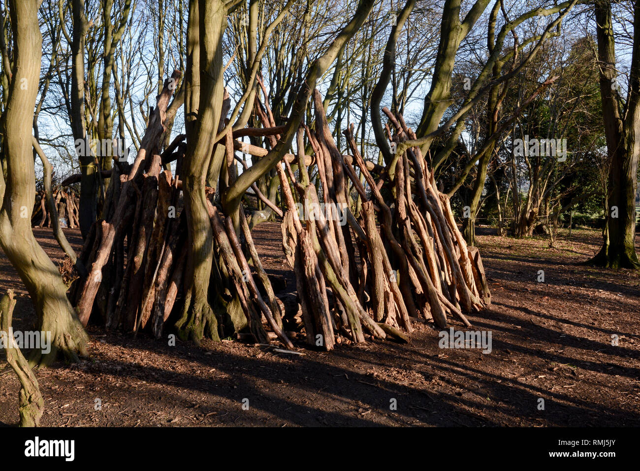 Dens oder Unterstände aus Protokollen und Stöcke im Wald gemacht Stockfoto