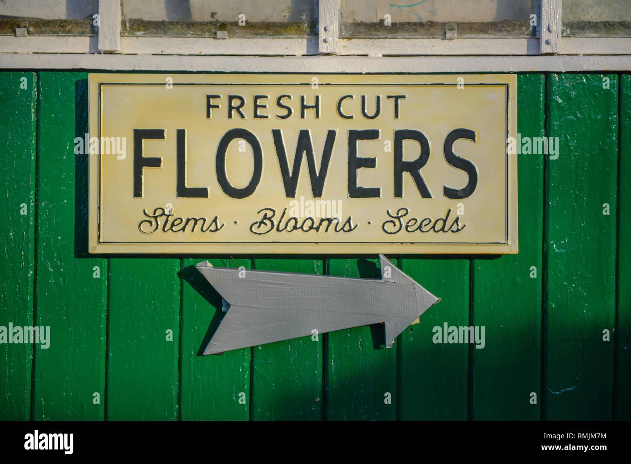 Crosslands Kindergarten, die letzten britischen Alstromeria Blume Hersteller Stockfoto