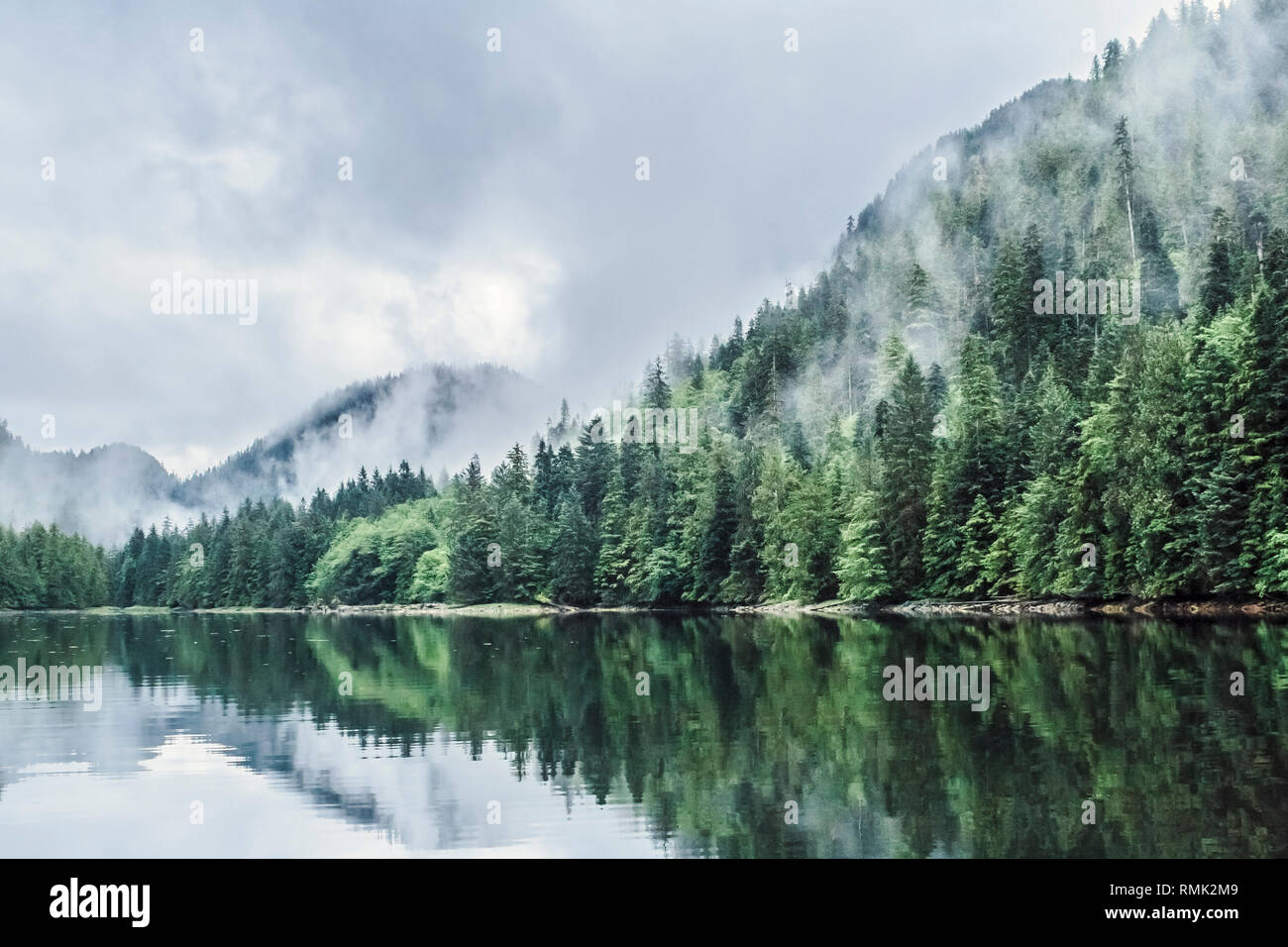 Niedrige Wolken treiben durch die Bäume in einem Förde in British Columbia, wo der Wald, Küste und Berge im ruhigen Wasser reflektiert werden. Stockfoto