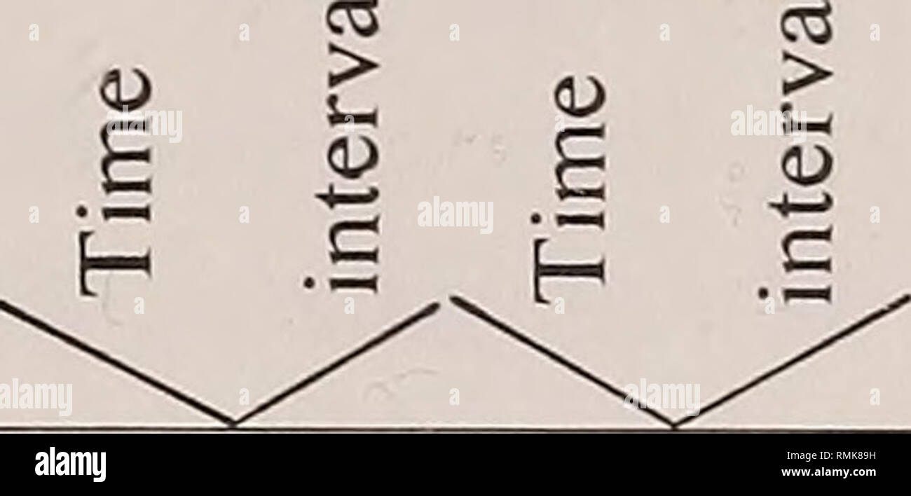 . Annalen der South African Museum = Annale van sterben Suid-Afrikaanse Museum. Natural History. Paläoökologie von LANGEBAANWEG 71 1/5 Z t 1 N Z G Z< W3 W3D (m o'J) 9 U3 DOIICI/qjB 3. 0) 03 fc* o 55-m-v; 6 b zu c c< u* O P &Lt;u* "s £.-e2 H c o. £ S X) D) • si 2 £ 5-s o o J 2 5 £ O zu 3 CD 75 O C4> 2 o 3 c 3°-D 60-T-£ 2 G O^1 § 3 £ 82 03 O X) a a E2+J X ZB 03 O zu^(N C* C Rn l C"-? d d 2^ Reg (Zyklus 3 o 3 CO zu &Lt;D. Bitte beachten Sie, dass diese Bilder aus gescannten Seite Bilder, die digital für die Lesbarkeit erhöht worden sein können extrahiert werden - Colorat Stockfoto