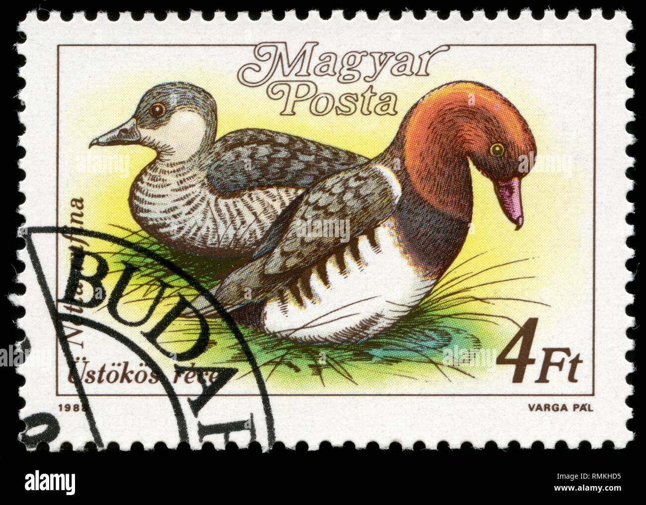 Briefmarke aus Ungarn in die Vögel (1988) Serie Stockfoto