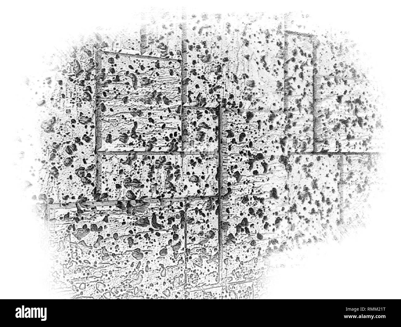Floral Border Schwarzweiss Stockfotos Und Bilder Seite 23 Alamy