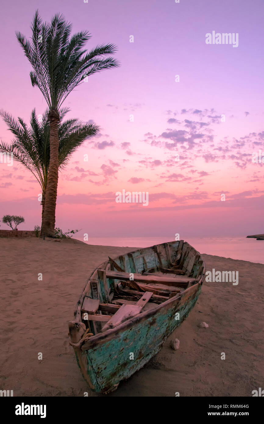 Palm und Boot auf den Strand Stockfoto