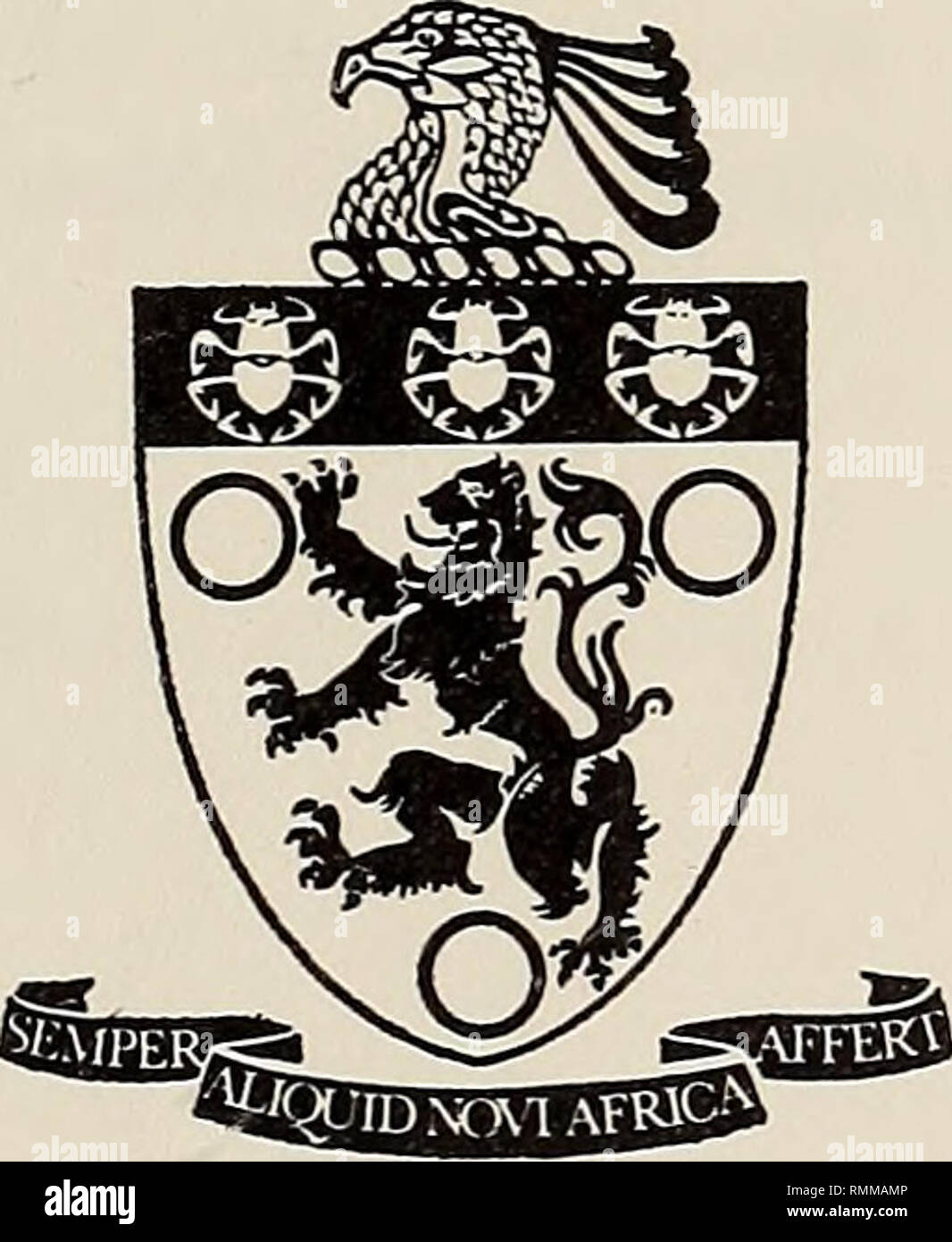 . Annalen der South African Museum = Annale van sterben Suid-Afrikaanse Museum. Natural History. Annalen DER SOUTH AFRICAN MUSEUM ANNALE VAN STERBEN SUID-AFRIKAANSE MUSEUM Band 62 Band November 1973 November Teil 4 Deel. Zusammenhänge, RAJOIDEA ANACANTHOBATIDAE (CHONDRICHTHYES), MIT EINER BESCHREIBUNG DER LECTOTYPE von ANACANTHOBATIS MARMORATUS VON BONDE & Amp; SWART, 1923 von S. A. HULLEY Kapstadt Nysna. Bitte beachten Sie, dass diese Bilder aus gescannten Seite Bilder, die digital für die Lesbarkeit verbessert haben mögen - Färbung und Aussehen dieser Abbildungen extrahiert werden kann Stockfoto