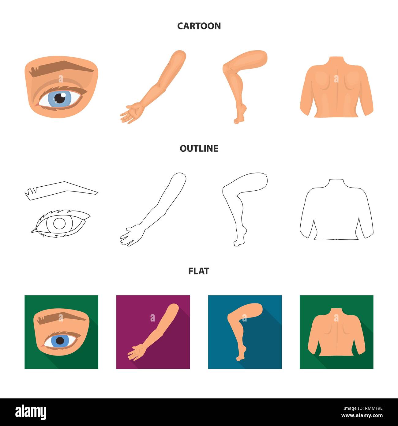 Vector Illustration von Körper und Symbol. Satz von Körper und Anatomie ...