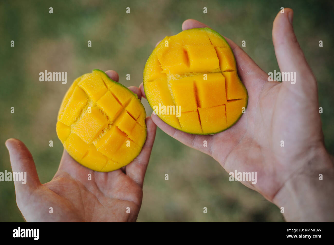 Mann hält Scheiben Mango, Seychellen Stockfoto