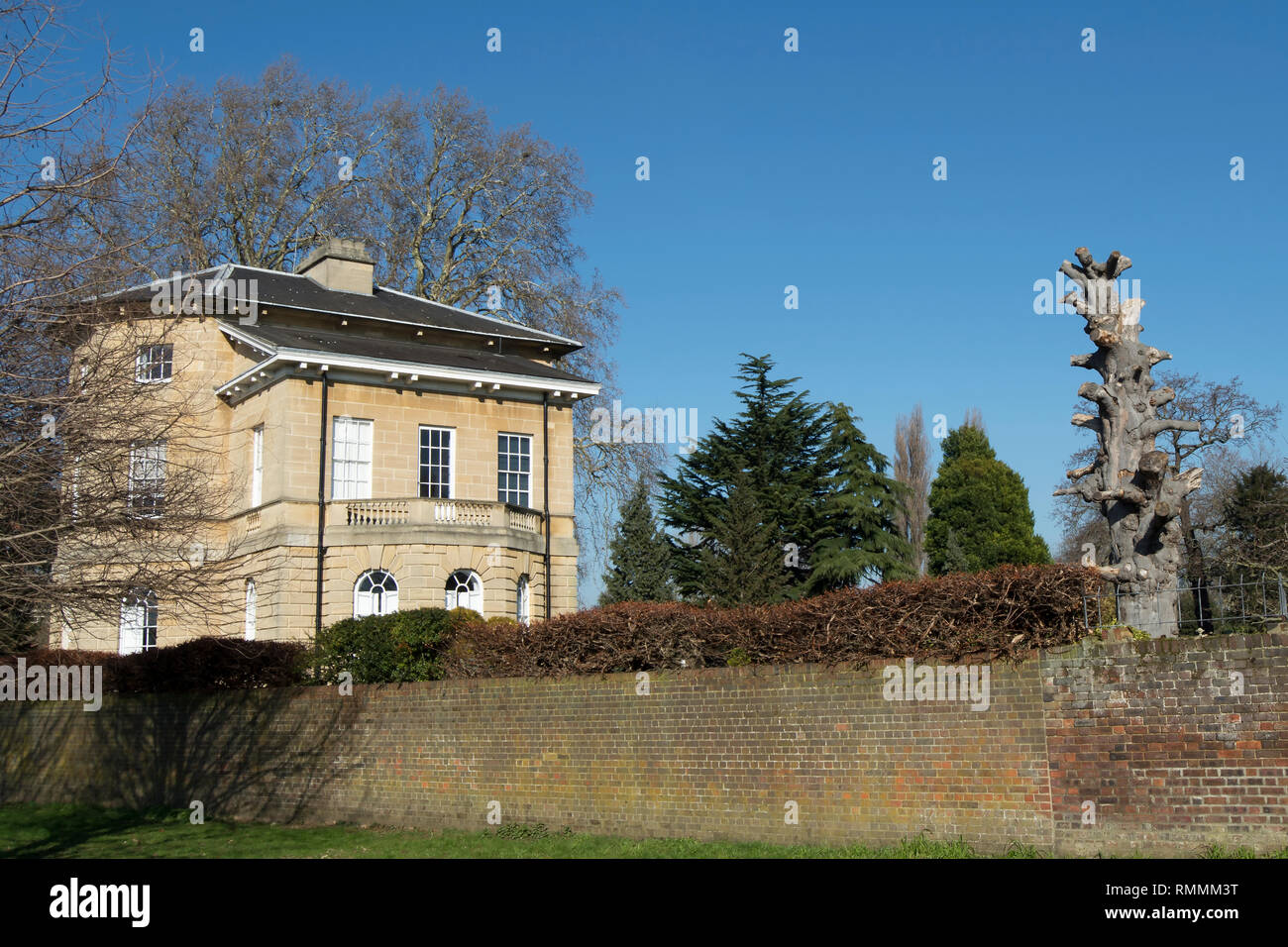 Asgill Haus, Richmond, Surrey, England, und der Stumpf des Kupfer Birke, war früher eine der großen Bäume von London Stockfoto