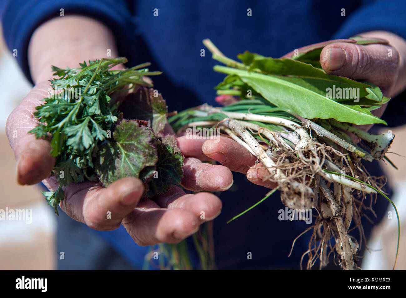Vor tausend Jahren, in der Blütezeit der japanischen kaiserlichen Hof, Royals und Adelige es auf Wochen begeben - lange Wanderungen in den drei Prinzip zu beten. Stockfoto