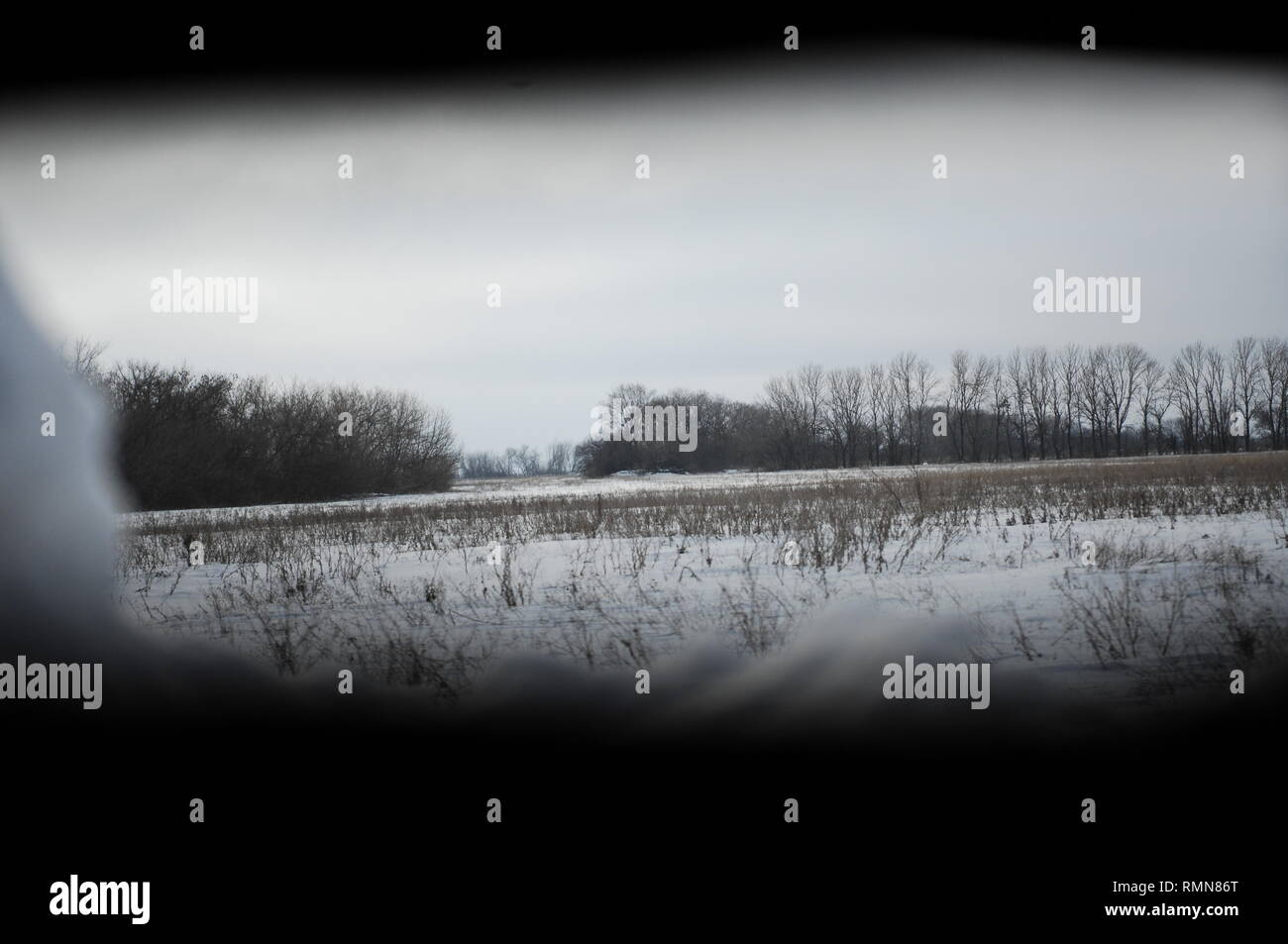 Die Foxhole Guckloch in die Ukraine Front Position weniger als 200 Meter entfernt. Eine einzige offene Feld trennt die beiden Konfliktparteien. Heckenschützen sind häufig. Der Krieg zwischen der ukrainischen Armee und die Soldaten der Donezk Volksrepublik hat das Leben von 12.000 Menschen und diejenigen, die vertrieben wurden mehr als eine Million. Das im Jahr 2014 eskaliert. Trotz eines Waffenstillstandes im Ort, es ist offensichtlich, dass der Tod immer noch Auftritt von vorwiegend, Sniper, Mörtel und Minen. Der Bau von Schützengräben auf beiden Seiten von Niemandsland, (oft nur 100 m auseinander) gewährleistet eine statische noch aggressiver con Stockfoto Die Foxhole Guckloch in die Ukraine Front Position weniger als 200 Meter entfernt. Eine einzige offene Feld trennt die beiden Konfliktparteien. Heckenschützen sind häufig. Der Krieg zwischen der ukrainischen Armee und die Soldaten der Donezk Volksrepublik hat das Leben von 12.000 Menschen und diejenigen, die vertrieben wurden mehr als eine Million. Das im Jahr 2014 eskaliert. Trotz eines Waffenstillstandes im Ort, es ist offensichtlich, dass der Tod immer noch Auftritt von vorwiegend, Sniper, Mörtel und Minen. Der Bau von Schützengräben auf beiden Seiten von Niemandsland, (oft nur 100 m auseinander) gewährleistet eine statische noch aggressiver con Stockfoto