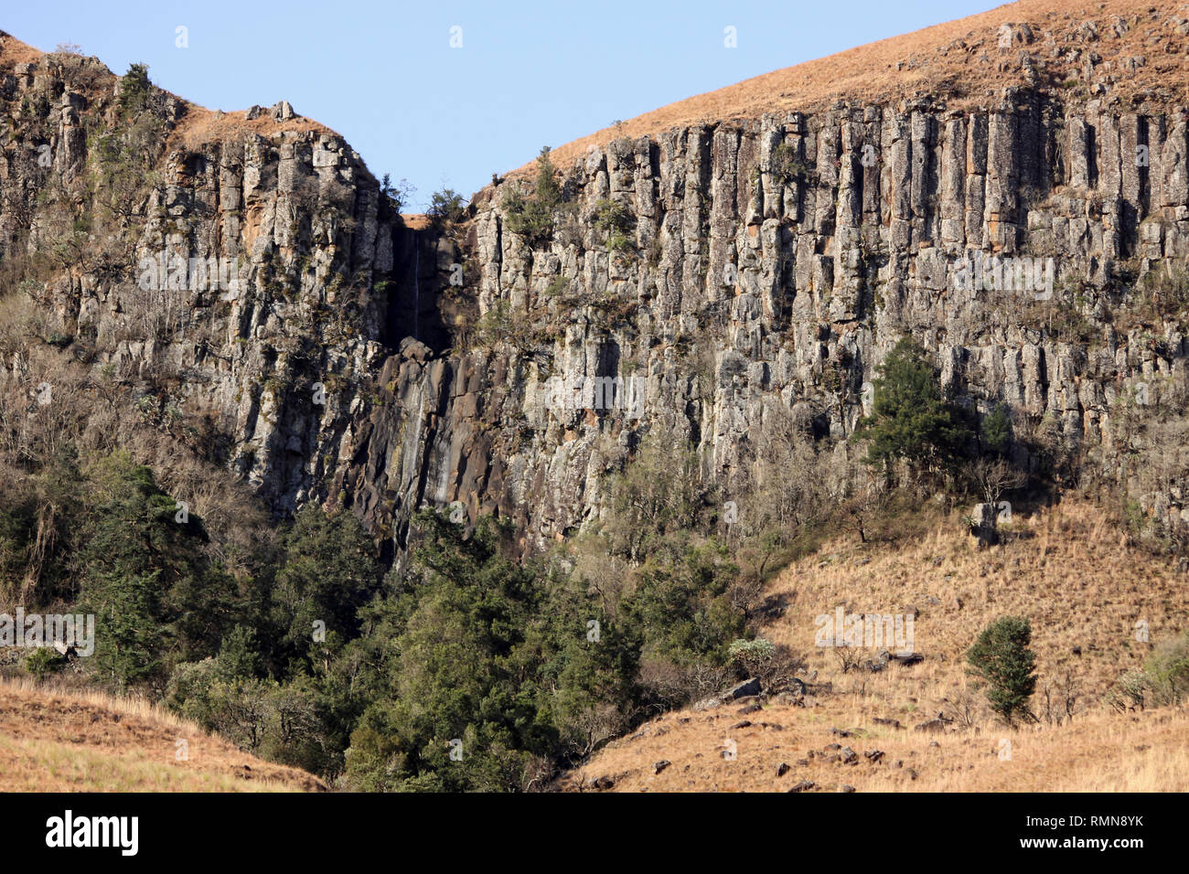 Basaltsäulen in Drakensburg Berge, Kwazulu Natal, Südafrika Stockfoto