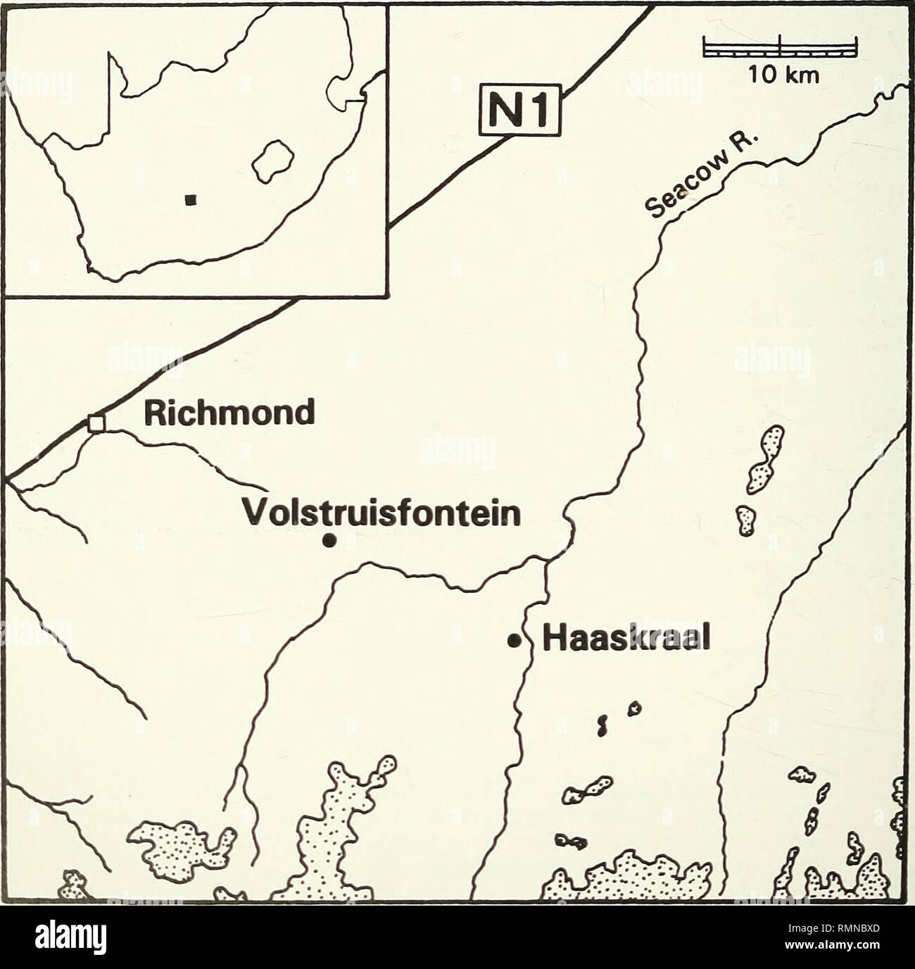 . Annalen der South African Museum = Annale van sterben Suid-Afrikaanse Museum. Natural History. 32 ANNALEN DER SOUTH AFRICAN MUSEUM EINLEITUNG Bei der Niederländischen trekboers ersten Schafe und Rinder in den Sneeuberg Oberläufe der Seekuh River Valley (Abb. eingeführt. 1) In den frühen 1770er Jahren, deren Bestände wurde systematisch zerstört oder von Gebietsansässigen Buschmänner (Godee-Molsbergen 1932: 39; Moodie 1960 III: 43, 44, 46, 52, 53, 67, 103; Raper &Amp; Boucher 1988: 82, 96, 180) gestohlen. Die ersten Fünf Höfe (South African State archive 1770-1774) wurden wiederholt während des Krieges für den Besitz von Th abgebrochen Stockfoto