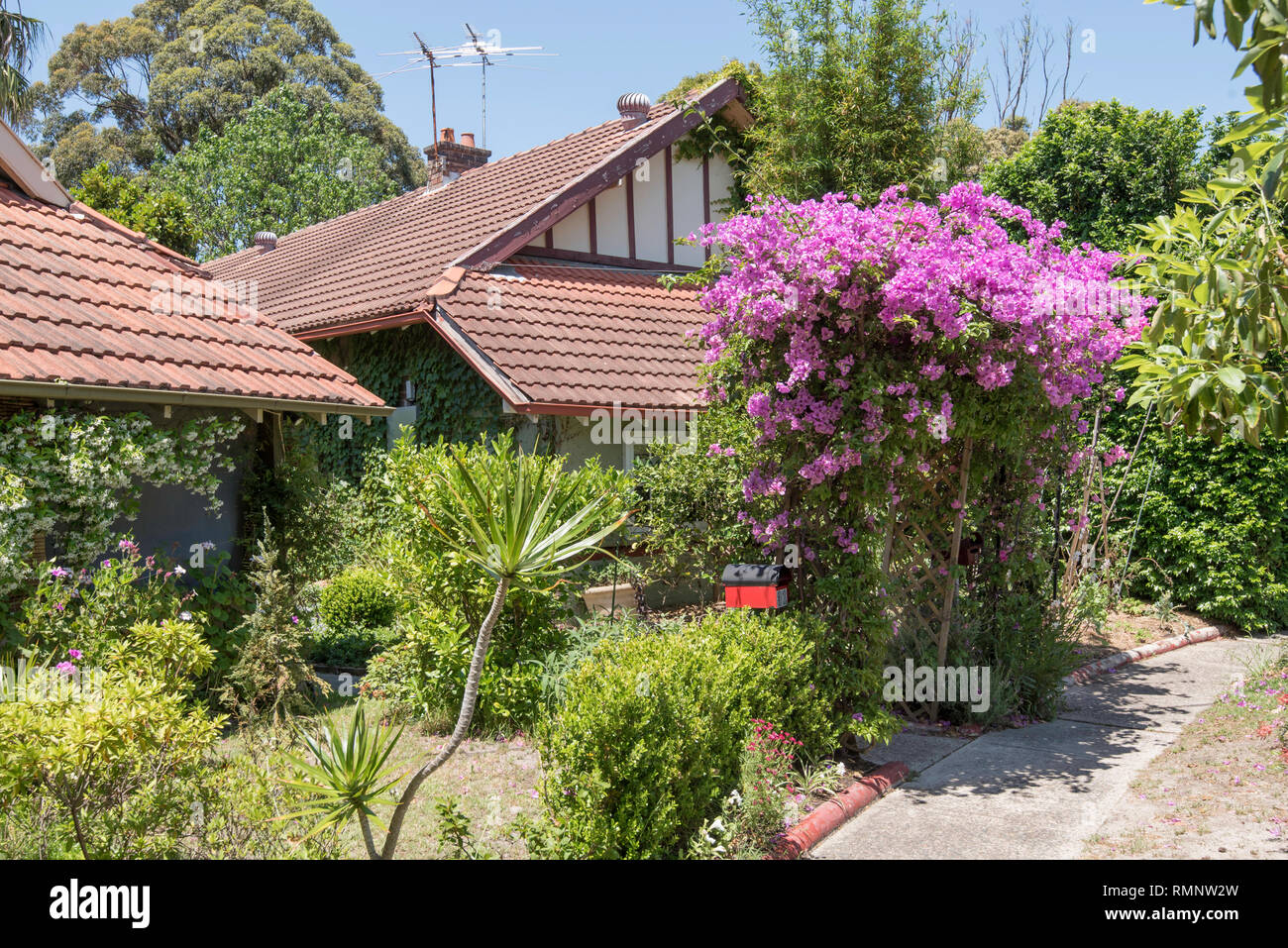 Eine der ursprünglichen Föderation Bungalow Cottages im Garten Vorort von Daceyville, Sydney, Australien gebaut Stockfoto