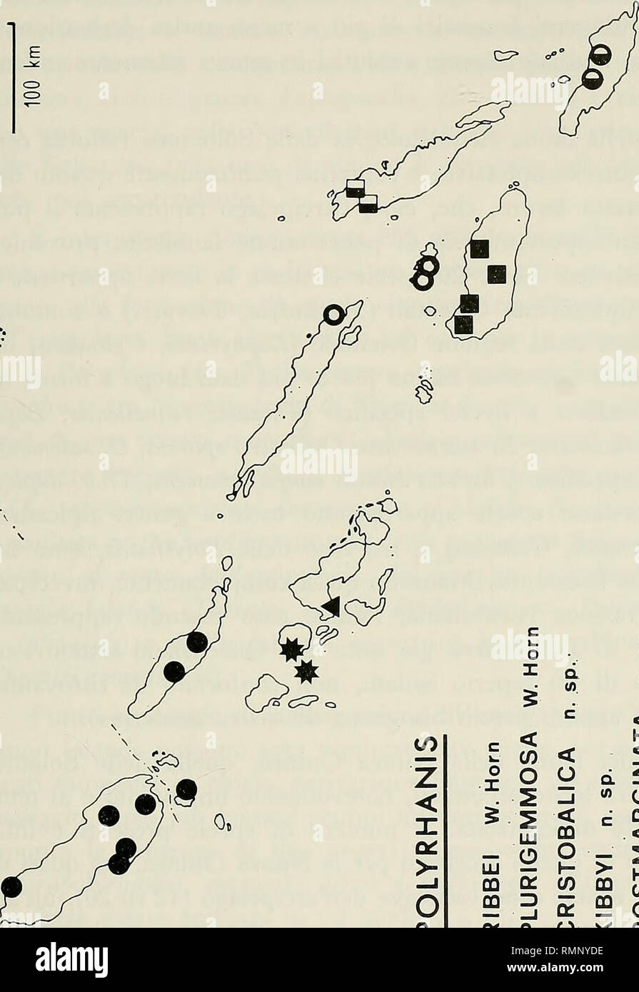 . Annali del Museo Civico di Storia Naturale Giacomo Doria. Natural History. CICINDELIDAE DELLE SALOMONEN 545 oder ^. o (0I a c s w i/&gt;c&lt; c&lt;&lt;&lt; Ein (A c a. (A C Z O X O O d&lt;^Si2 lij O o Oc. &Lt;1 (/) o LU O&lt; O LU ein. J&lt; n-J CO q: (/) QQ o CO 3 -1 OC CO&lt; Q-q: Q.O HaC CL (f) - 1 • o e H B#^M £^ wwa? z Mus. Civ. St. Nat. G. Doria, Vol. Lxxxvi 35. Bitte beachten Sie, dass diese Bilder aus gescannten Seite Bilder, die digital für die Lesbarkeit verbessert haben mögen - Färbung und Aussehen dieser Abbildungen können nicht genau mit dem beschäftigungsprojekt ähneln extrahiert werden Stockfoto