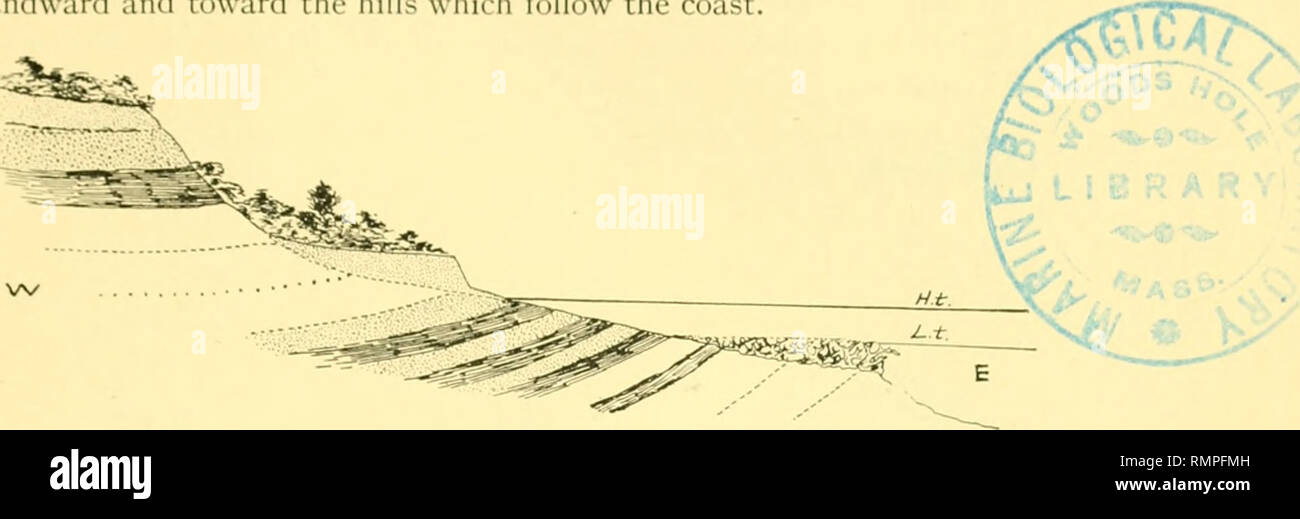 . Annalen des Carnegie Museum. Carnegie Museum; Carnegie Museum of Natural History; Natural History. Branner: Geoi. Ogv von Alagoas, Brasilien. 13 südlich von Marcencrio ist ein fnibaNinent in wliicli tlu - Dunkle Schiefer sind bei niedrigen Wasser ausgesetzt und ich^ artly durch ein Korallenriff abgedeckt. Die folgenden Dips wurden hier beobachtet: Lo°n. 39° w.; 13° n. 57° w.; 12° n. 25° w., immer Landwärtigen und in Richtung der Hügel, die die Küste folgen. Abb. 9. Geologische Abschnitt südlich des Marcenerio embayment Übersicht der bituminösen Schiefer eintauchen Landwärtigen und überwachsen mit einem Korallenriff. An der Barra do Passo, auch bekannt als Stockfoto