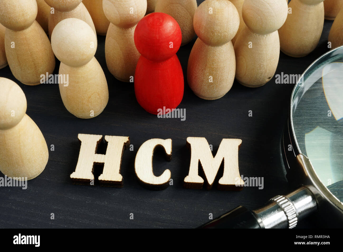 Human Capital Management HCM-Konzept. Figuren und Lupe. Stockfoto