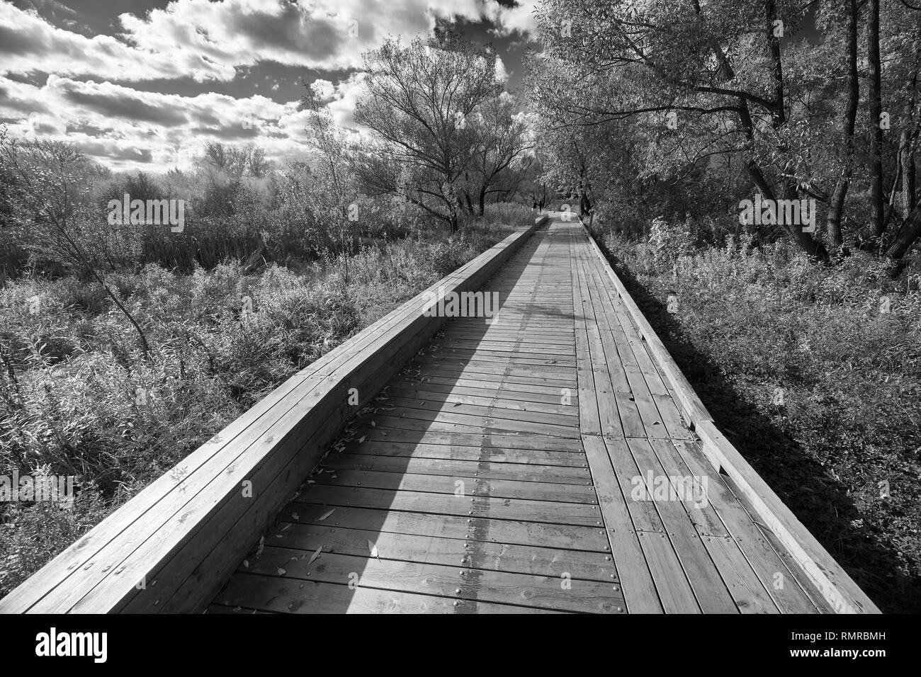 Schwarz-weiß-Bild der Holzsteg in der Nähe von Yauza Fluss in Moskau im Herbst, Babushkinskiy Bezirk Stockfoto