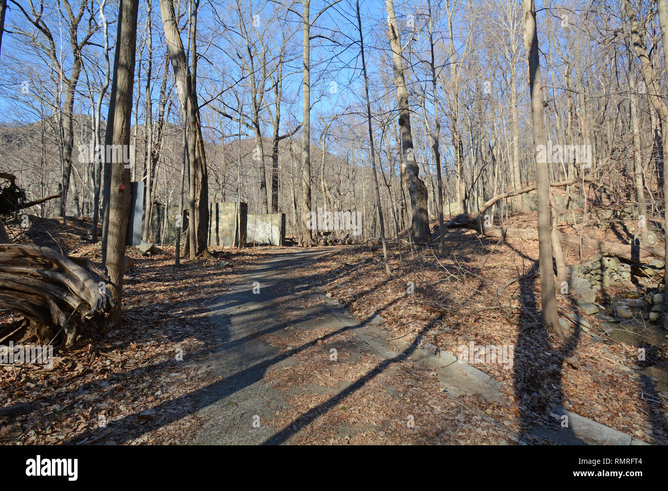 Weg durch einen Wald im Upstate New York Stockfoto