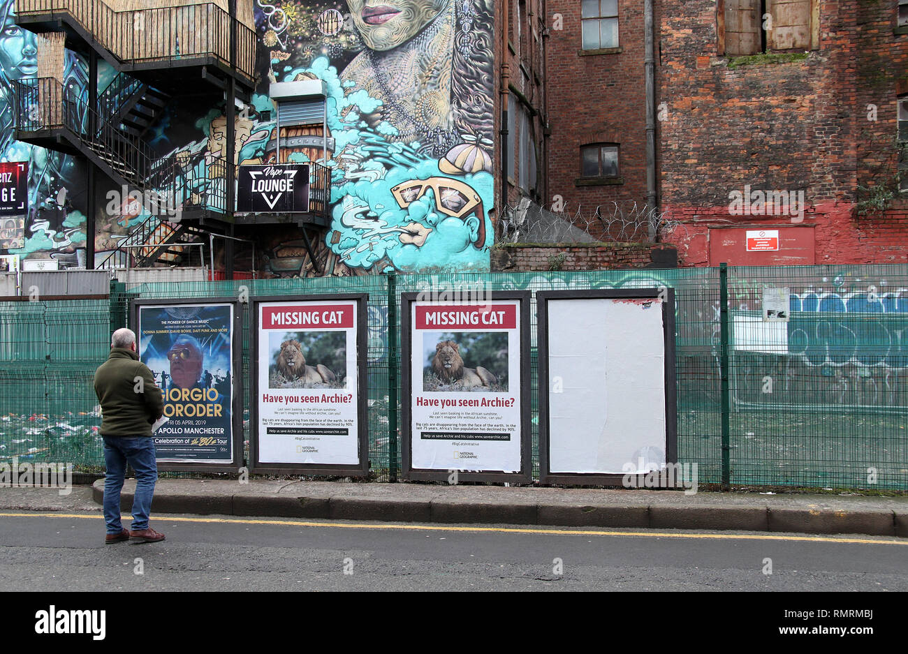 Fehlende Cat Poster in Manchester. Stockfoto