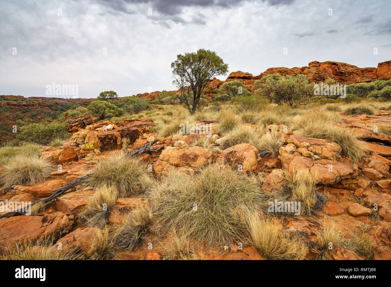 Wandern an einem bewölkten Tag in der Wüste von Kings Canyon im Watarrka National Park, Northern Territory, Australien Stockfoto