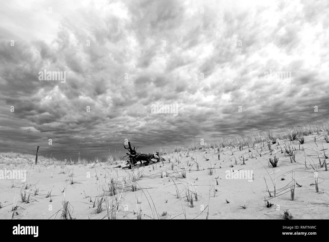 Lavalette, New Jersey, winter Stockfoto