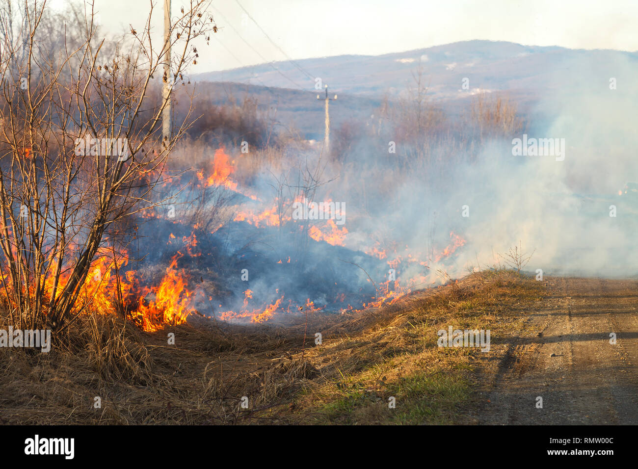 Im zeitigen Frühjahr, Feuer breitet sich durch trockene Vegetation, alles Brennen in den Weg. Dichter Rauch und große Brände verursachen Schaden der Landwirtschaft und environme Stockfoto